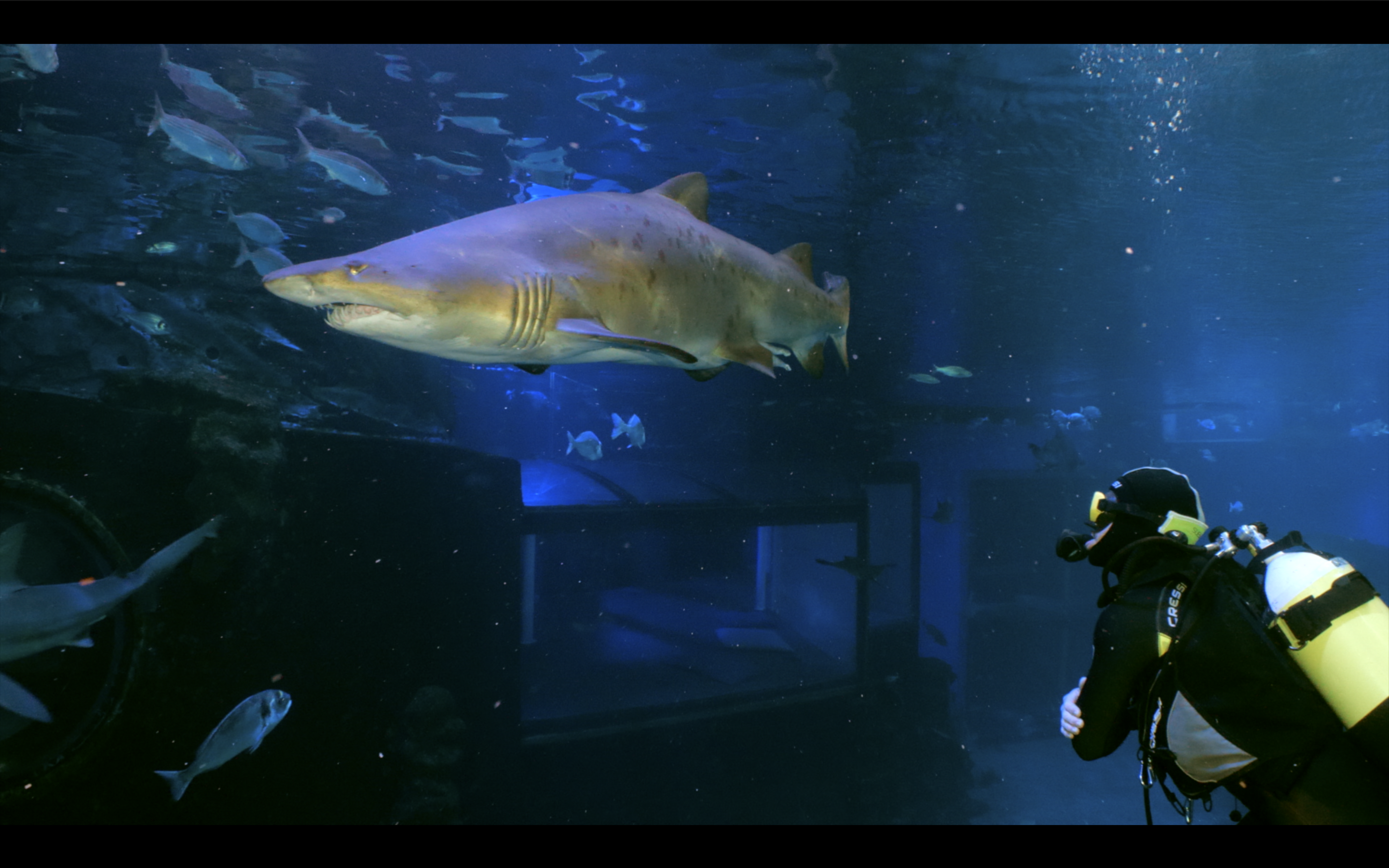 Sous l’eau 4