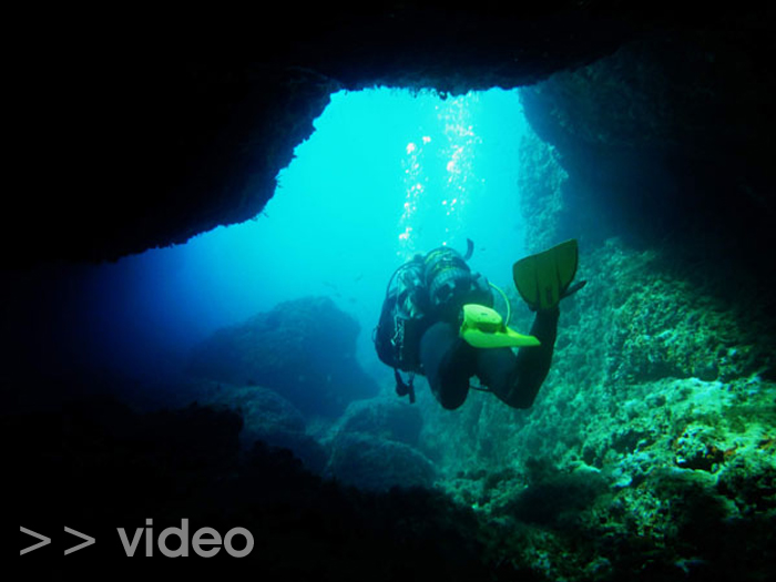 Plongée Image principale